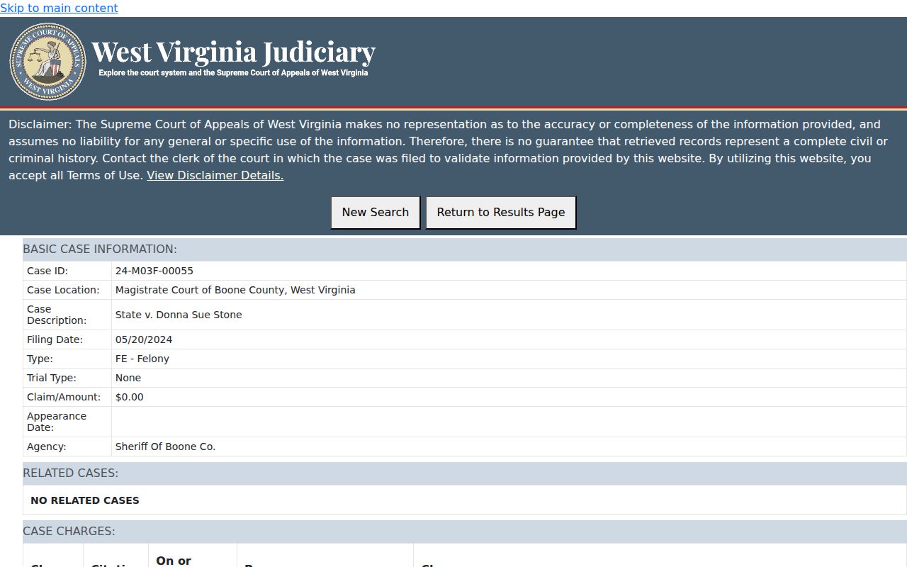 Sanitized Boone County Magistrate Court Record Search case-detail fields